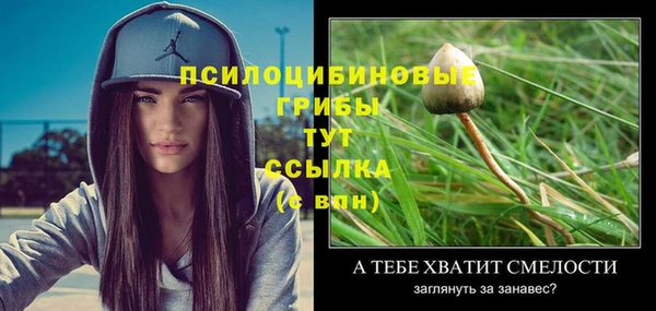 синтетический гашиш Арсеньев