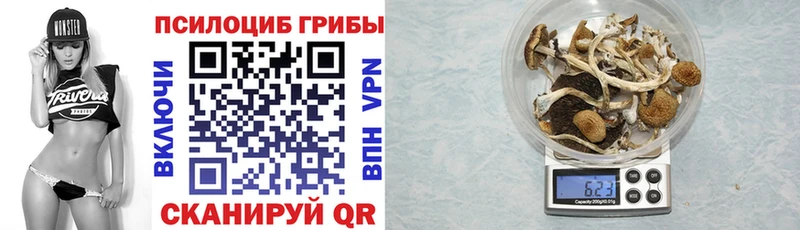 площадка состав  Теберда  Галлюциногенные грибы MAGIC MUSHROOMS 